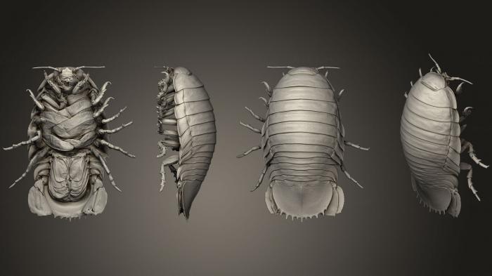 نموذج ثلاثي الأبعاد لآلة CNC الحشرات العملاق Isopod